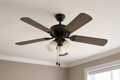 Ceiling Fan Disposal